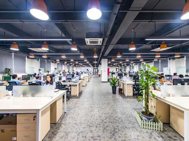 江苏大型龙鱼批发