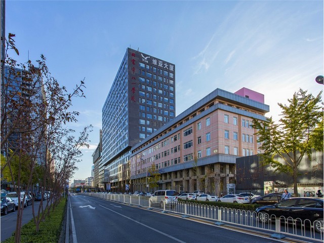 周村步行街附近给狗狗诊疗的地方